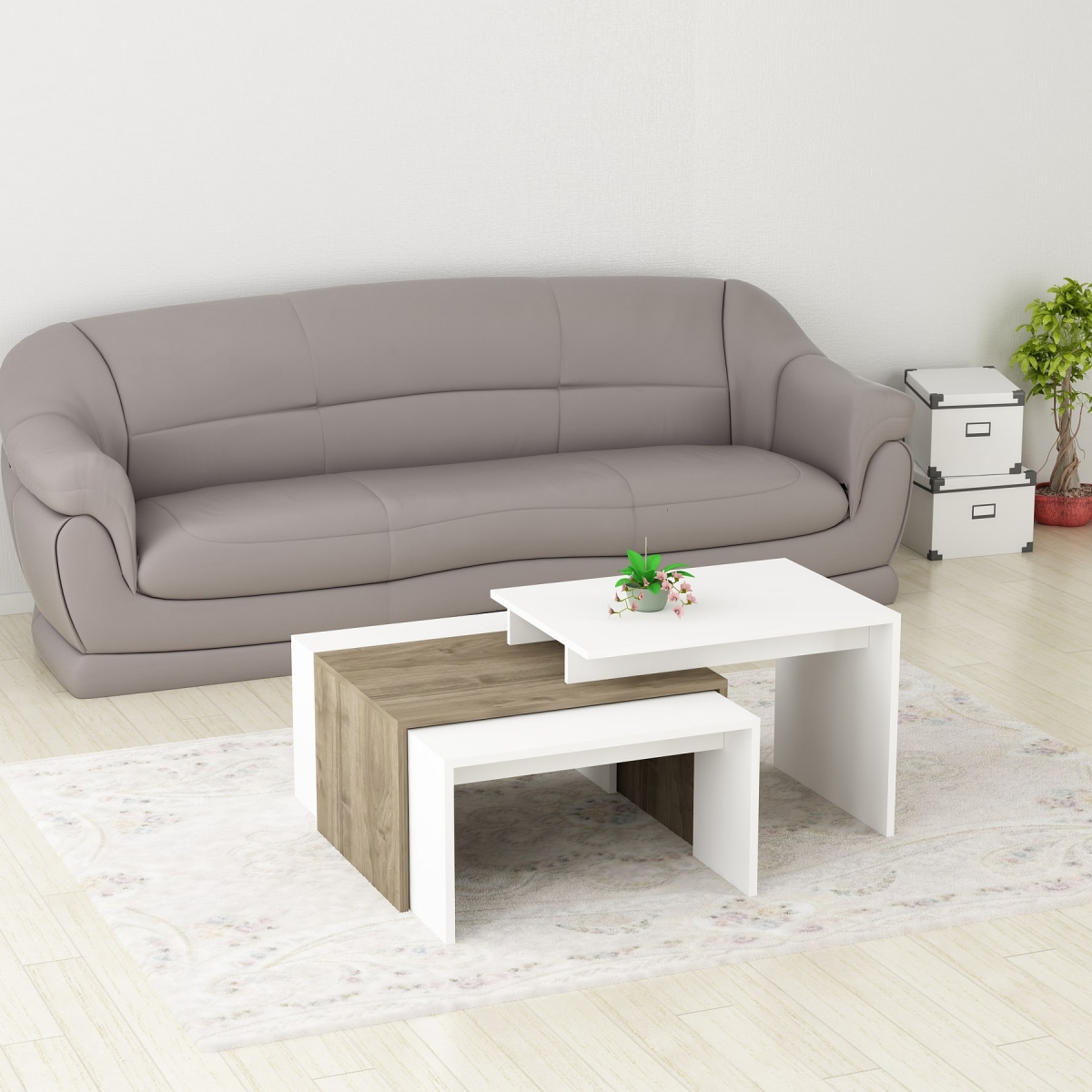 Daniella Nesting Coffee Table - White & Walnut