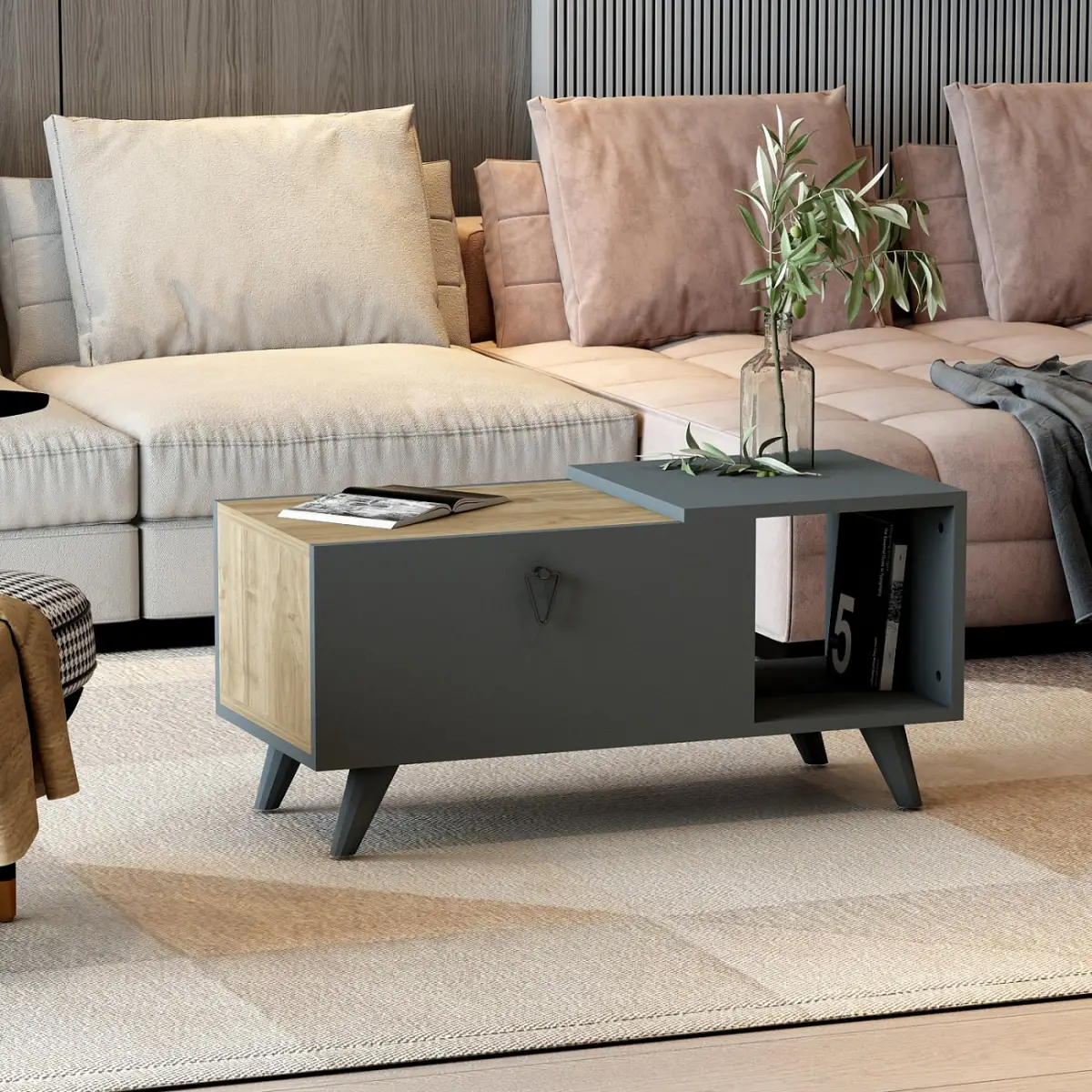 Alisya Coffee Table with Storage Cabinet and Shelf - Walnut & Anthracite