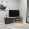 Dion Corner TV Stand Entertainment Center