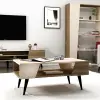 Clara Coffee Table- Light Walnut & Beige