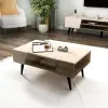 Clara Coffee Table- Light Walnut & Beige
