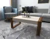 Robert Coffee Table - Light Walnut & Beige