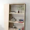 Clara Bookcase - Light Walnut & Beige