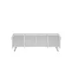 Raine 120 TV Stand - White Silver